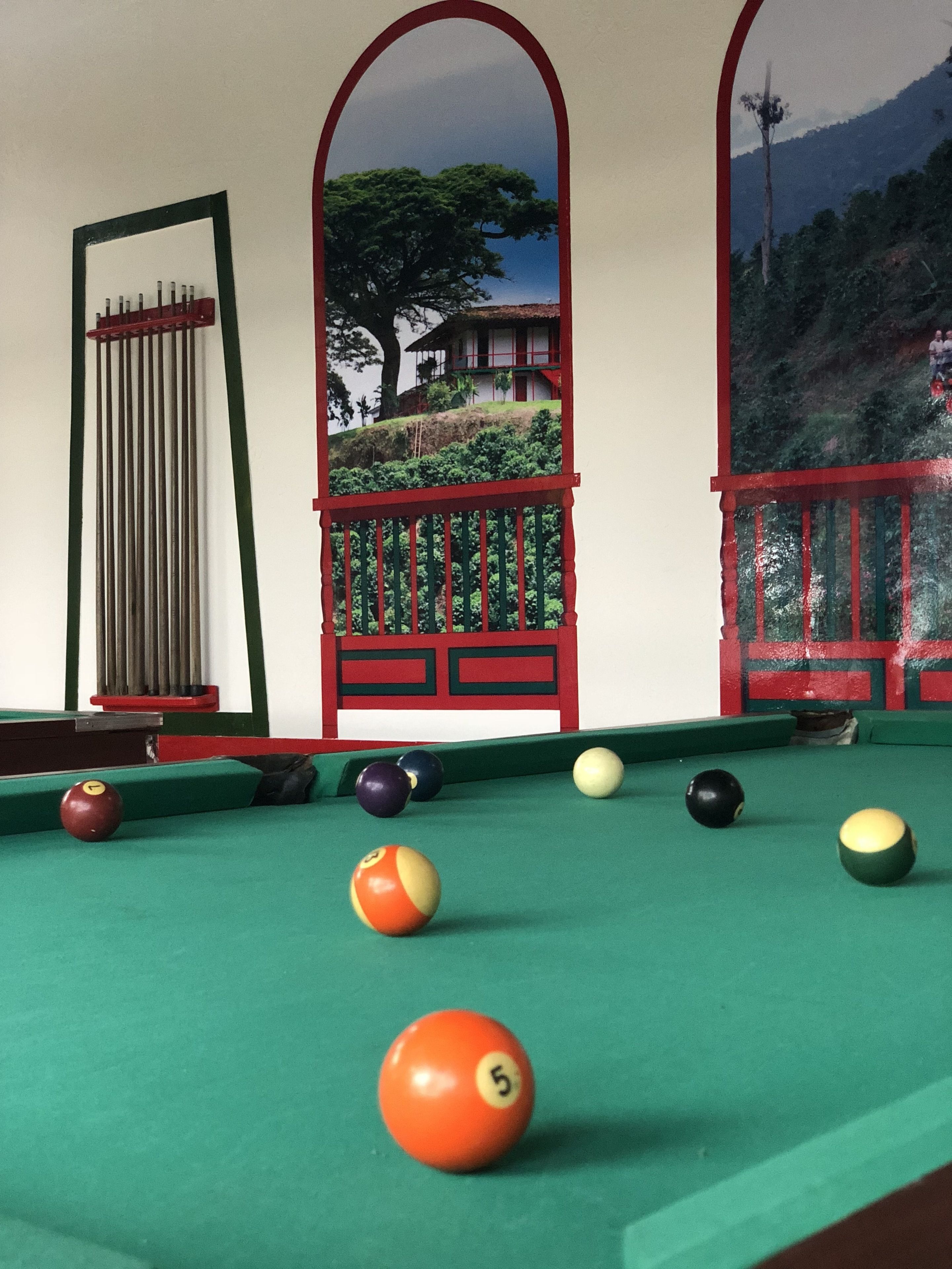 Foto - Eco Hotel las Palmas