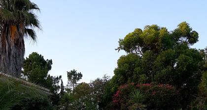 Alentejo Coastal Petit Cottage