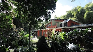 Jardín