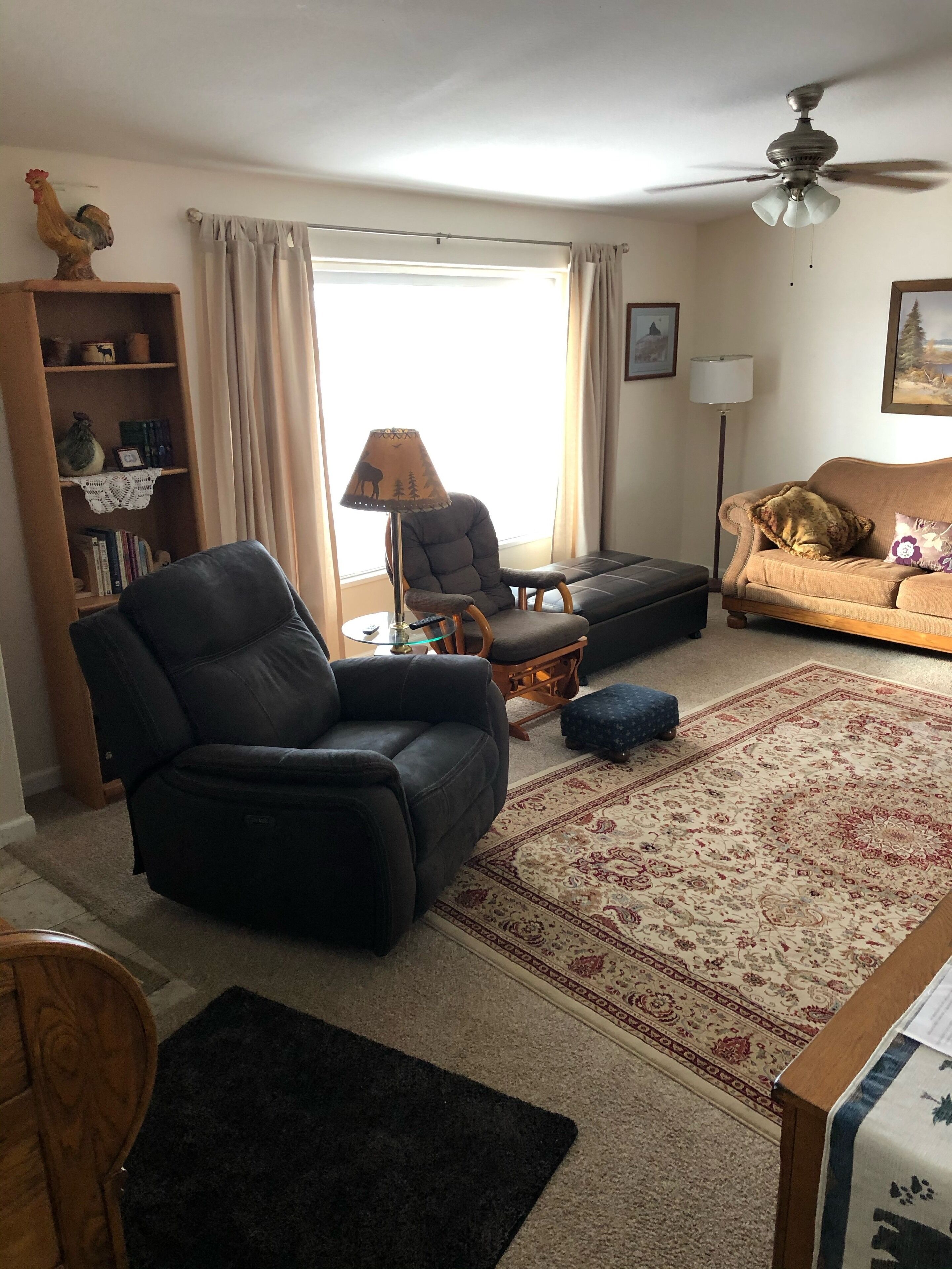 Smart TV, fireplace, DVD player, books