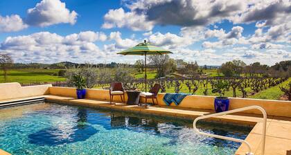 Working Vineyard & Private Pool: Villa in Plymouth