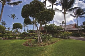 Un jardín tropical con césped cuidado, diversas especies de árboles y un edificio con tejado rojo.