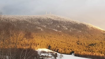 Una montagna innevata con un pendio boscoso e un piccolo edificio alla base.