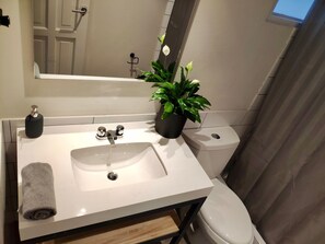 Shower, rainfall showerhead, hair dryer, towels