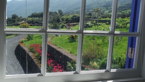 Une fenêtre donnant sur un paysage verdoyant, avec un sentier et des plantes en fleurs.