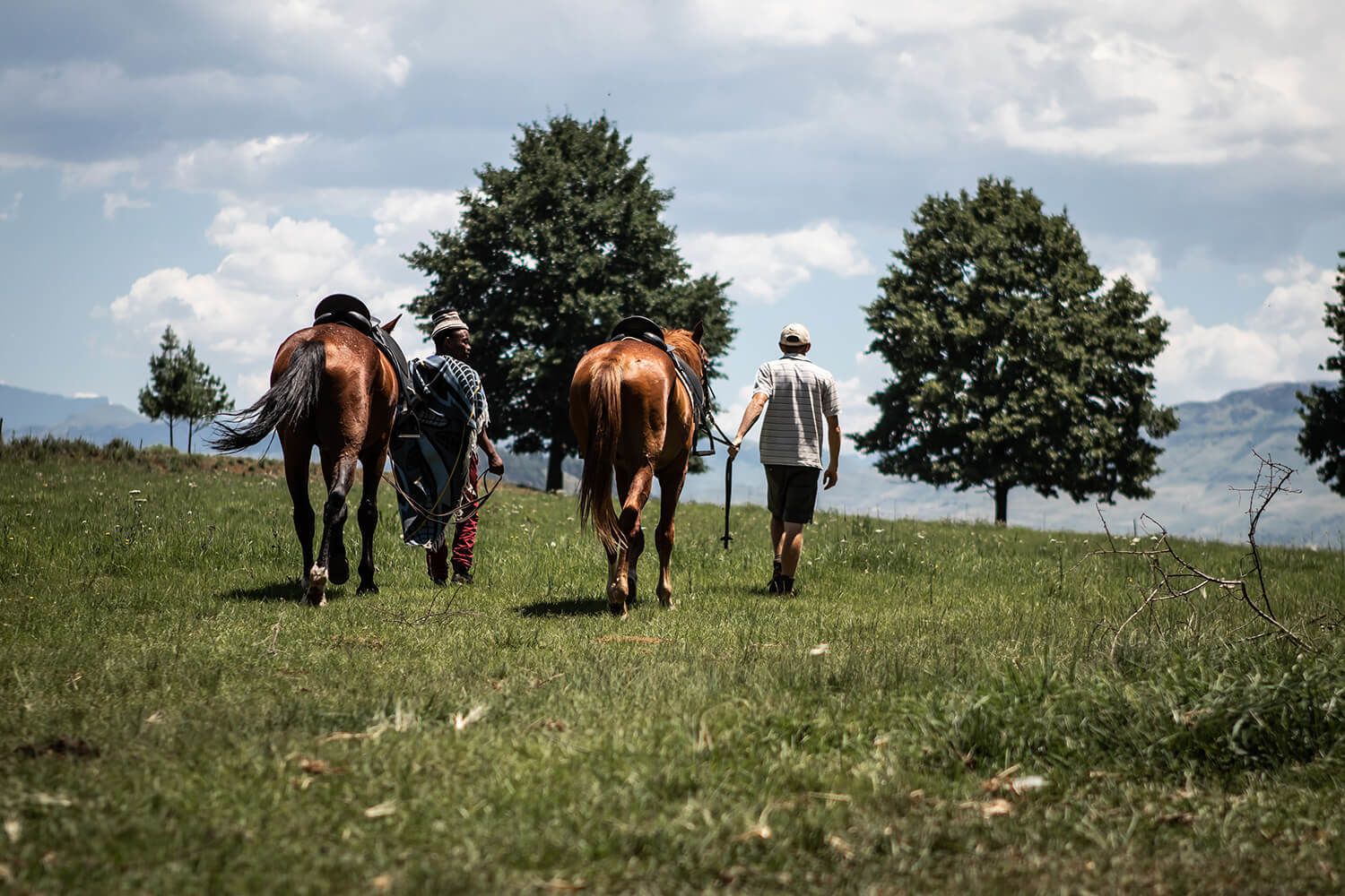 Horseback riding