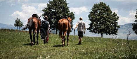 Horseback riding