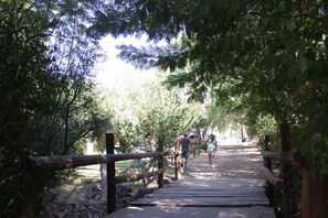 A wooden bridge in a forested area with a paved walkway. - Cabañas Rocas Amarillas (El Nihuil)