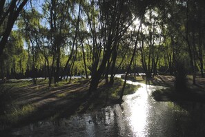 A natural setting with a water body reflecting sunlight, surrounded by trees and a grassy area. - Cabañas Rocas Amarillas (El Nihuil)