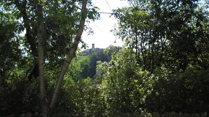 Un chemin de pierres serpente à travers une zone verdoyante, bordée d’arbres, et offre une vue sur un bâtiment situé au loin.