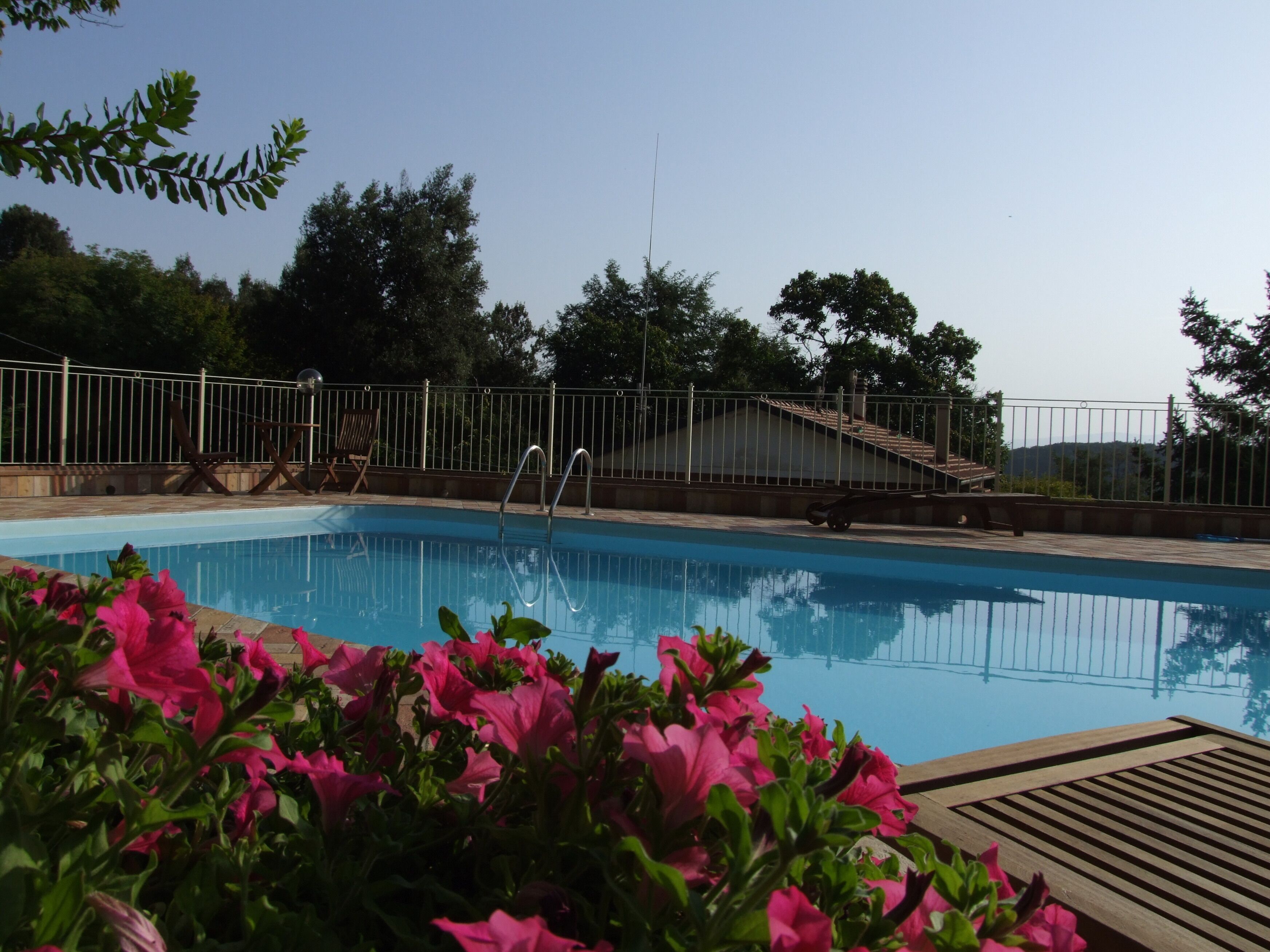 Una piscina con cerramiento de metal, rodeada de follaje y una terraza de madera.