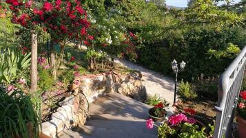 Parco della struttura