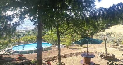 La Rosa dei Venti-talo