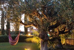 Una hamaca colgada de un árbol en un jardín.