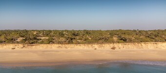 LV Premier Troia - TR1