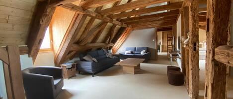 电视、DVD 播放器