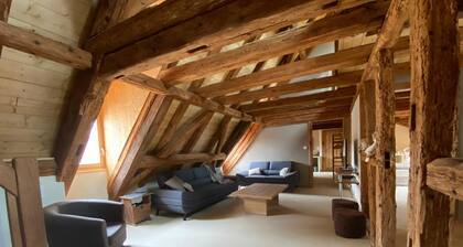 CHARACTER GITE with TERRACE and GARDEN, SPACIOUS and QUIET