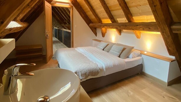 A bedroom with a large skylight, a bed, a bedside table, and a round sink. - CHARACTER GITE with TERRACE and GARDEN, SPACIOUS and QUIET  (Gueberschwihr)
