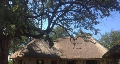 Bosbok Lodge