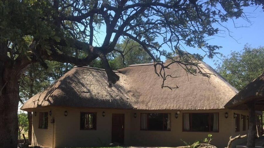 Bosbok Lodge