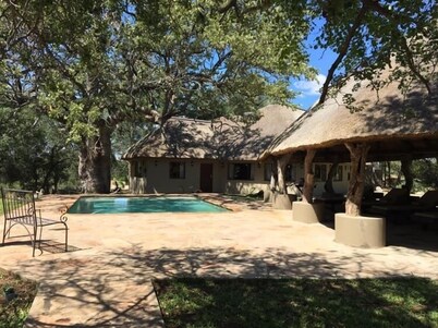 Bosbok Lodge