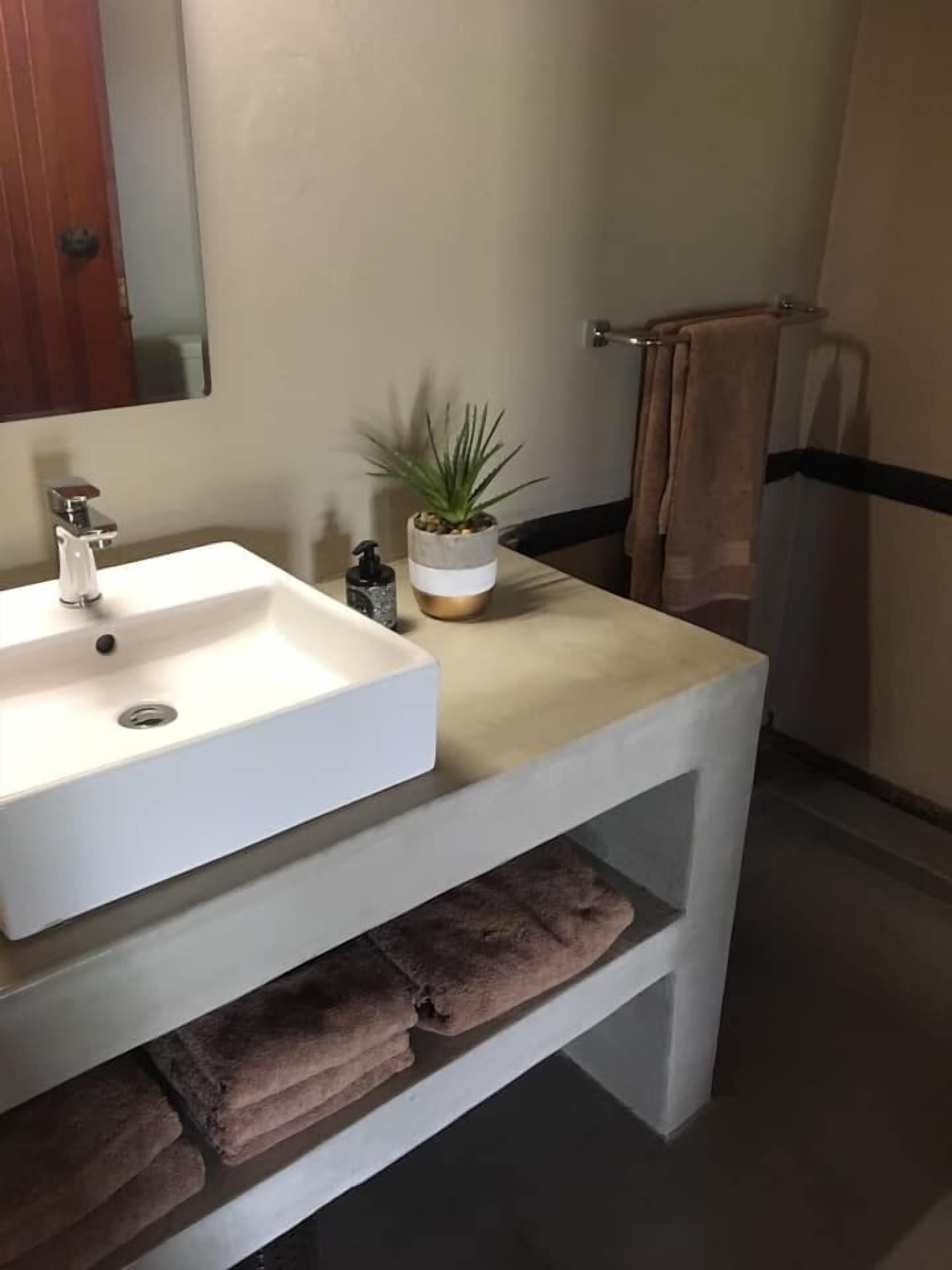 A bathroom with a white sink, a mirror, a potted plant, and a towel rack.
