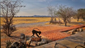 Luxury Chalet, 1 Bedroom (Deluxe Chalet) | Terrace/patio - Etosha Mopane Safari Lodge (Etosha)