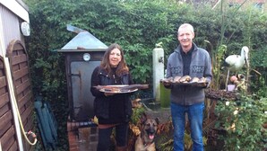 Un patio trasero con un cobertizo de madera, una parrilla y un perro.