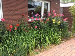 Exterior detail - Apartment Magarete / Detern / Ostfriesland. (Detern)