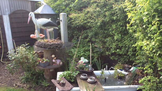 Un jardín con un estanque, una estructura de madera y una estatua de un pájaro.