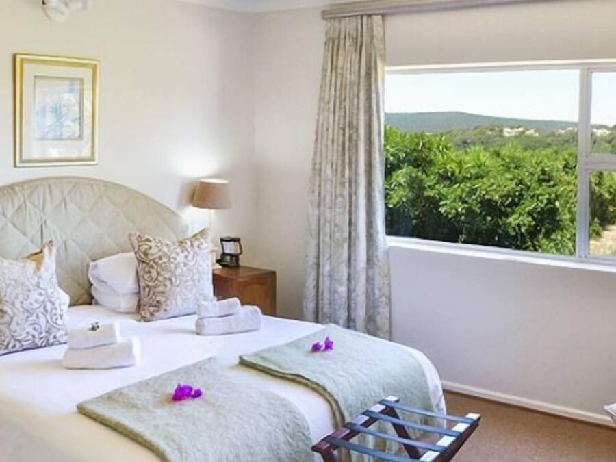 Executive-suite (Fish Eagle) | Pengeskab på værelset, skrivebord, gratis Wi-Fi, sengetøj