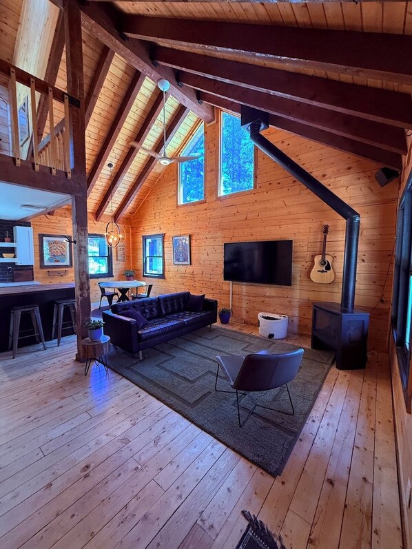 Tv, eldstad, tv-spel och Netflix