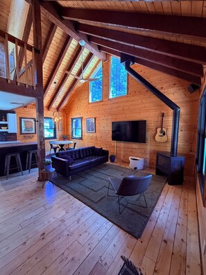 TV, fireplace, video games, Netflix