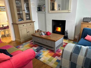 Smart TV, fireplace, books, music library