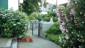 A paved pathway leading to a gated entrance surrounded by lush greenery and flowering plants. - cozy attic in Dervio (dervio)