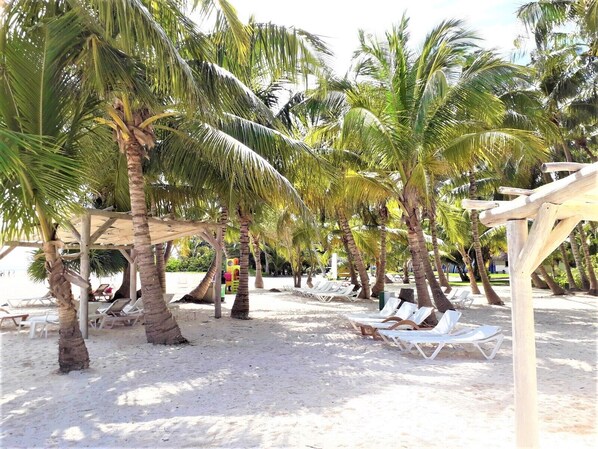 Property grounds - Relax Villa with Pool (Punta Cana)