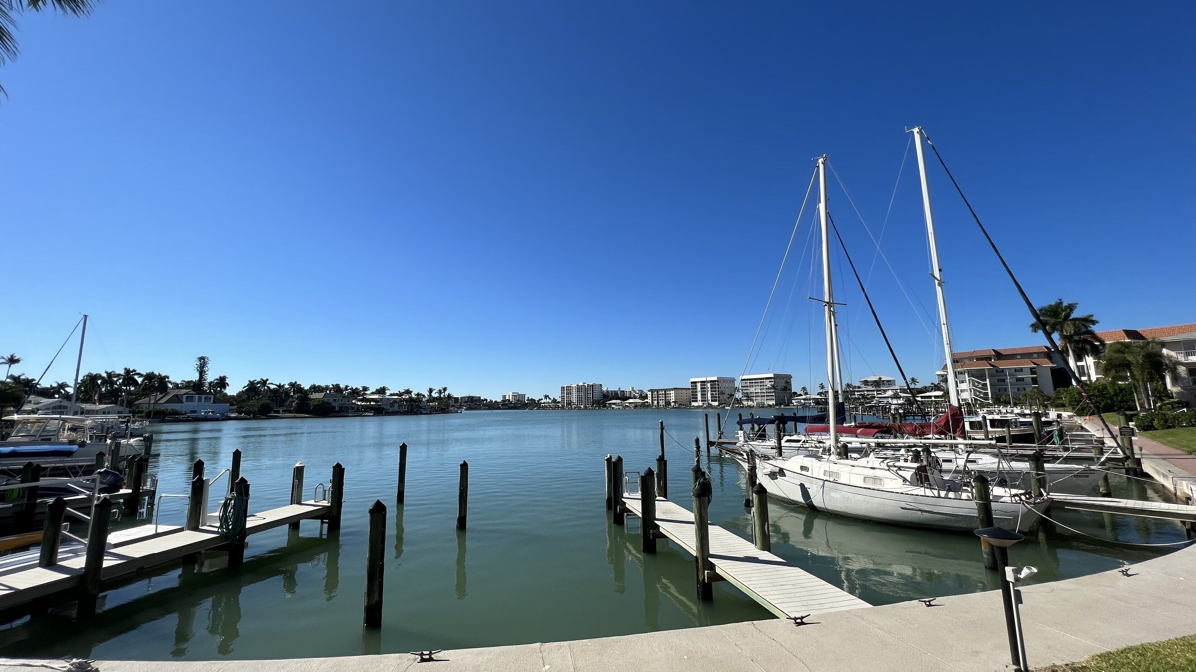 A marina with docked sailboats, a clear blue sky, and buildings in the background.