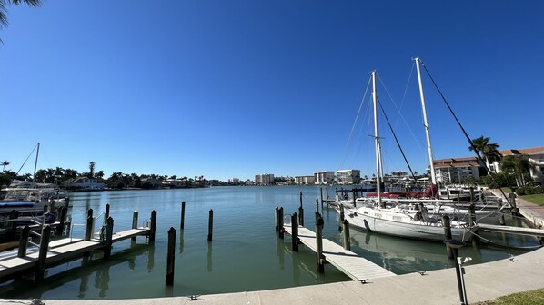 A marina with docked sailboats, a clear blue sky, and buildings in the background.