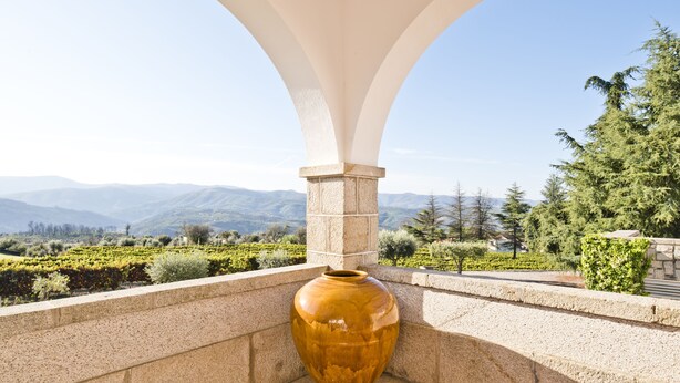 A large vase in a stone structure with a view of a vineyard and mountains. - Lam Hotel Convento do Desagravo (Oliveira do Hospital)