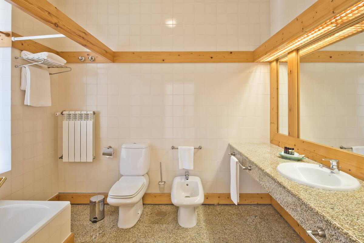combined shower/bathtub, free toiletries, hair dryer, bidet