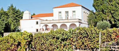 Seasonal outdoor pool, pool umbrellas