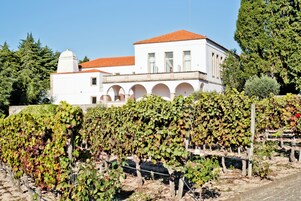 Un edificio blanco con tejado de tejas rojas y ventanas arqueadas, rodeado de viñedos.