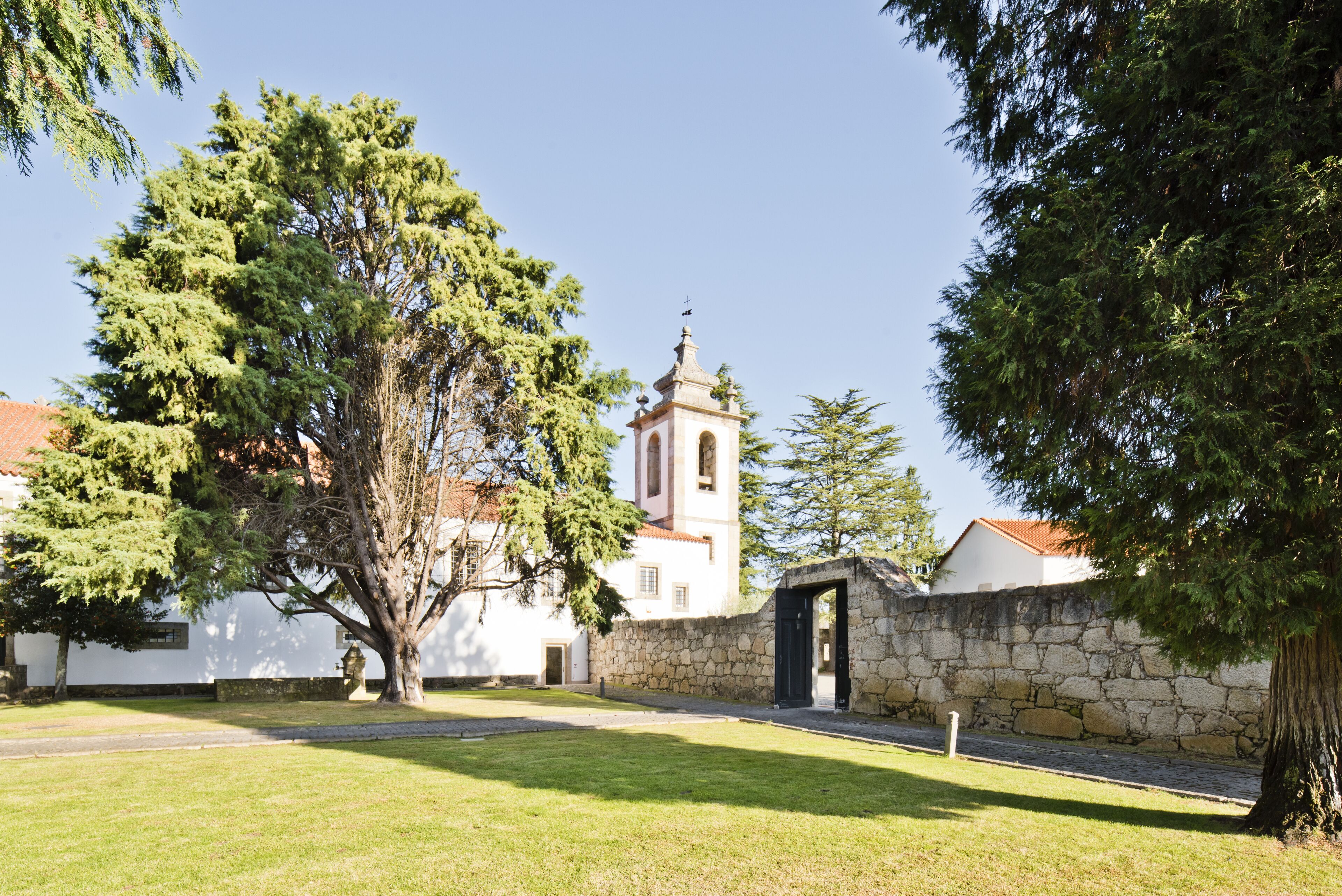A stone wall, a building with a bell tower, and a large tree in front of a white building.