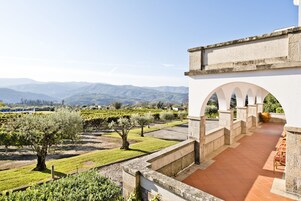 Viñedo con hileras de vides, un edificio de piedra con arcos y montañas al fondo.