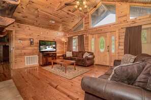 Televisión, chimenea, videojuegos, reproductor de DVD