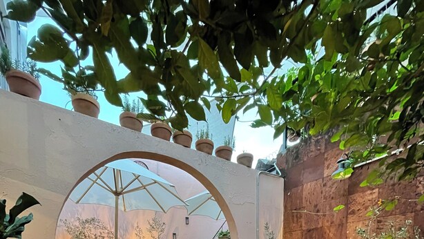 Restaurant - Casa Bonita (Guadalajara)