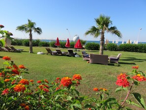 المنطقة المحيطة بالمنشأة