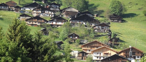 Esterni