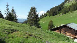 Una cabaña de madera en una ladera cubierta de hierba, con vistas despejadas del bosque circundante y montañas lejanas.