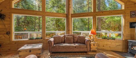 TV, fireplace, DVD player, books
